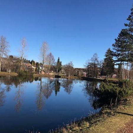 Schoene Ferienwohnung Im Suedschwarzwald Herrischried Экстерьер фото