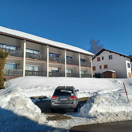 Schoene Ferienwohnung Im Suedschwarzwald Herrischried Экстерьер фото